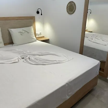 The Frog 利迈纳里亚