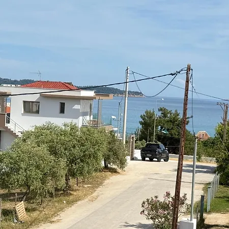 度假居 The Frog *