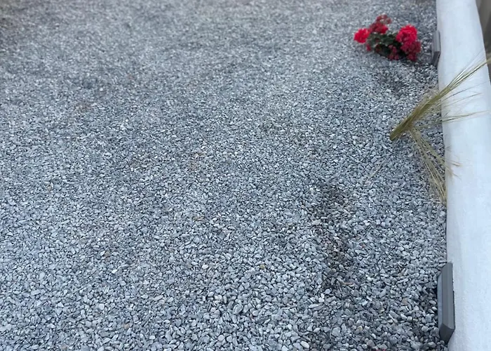 The Frog Prázdninový dům