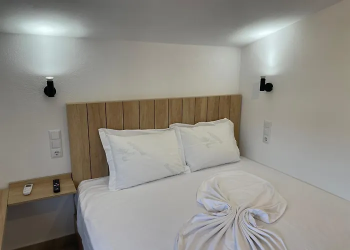 The Frog * Limenaria (Thasos)