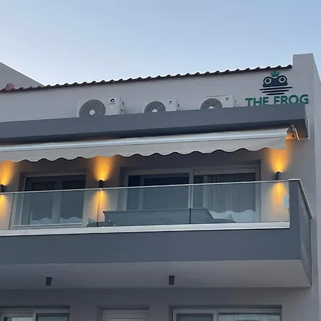 The Frog *
